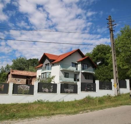 Pensiunea Albero Куртя-де-Арджеш Екстер'єр фото