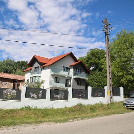 Pensiunea Albero Куртя-де-Арджеш Екстер'єр фото